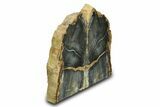 Tall, Petrified Wood Bookends - Sweet Home, Oregon #307944-1